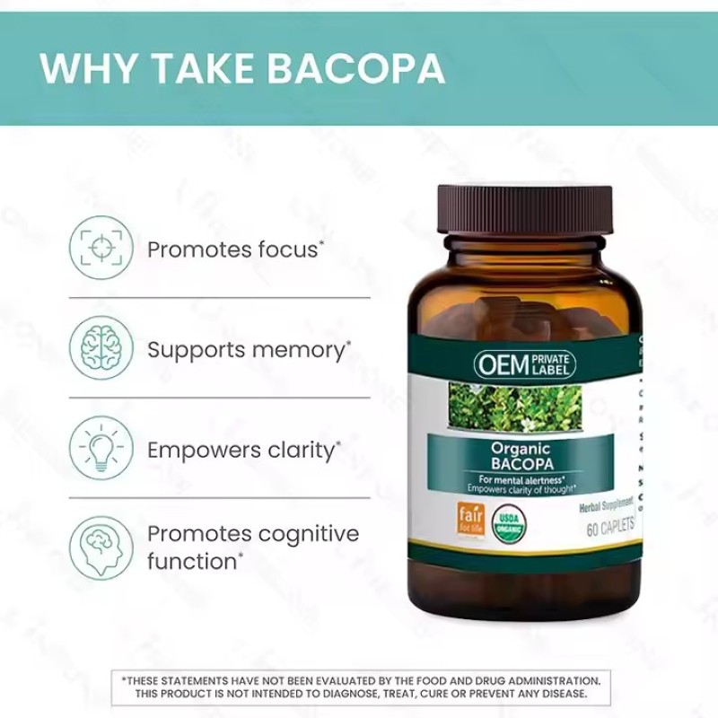 Private Label Organic Bacopa Monnieri Caplets Herbal Nootropic Supplement for Adults Customizable Vitamins