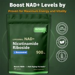 TK Hot-selling Product Niacinamide Nucleoside Resveratrol Capsules, NMN Supplement That Naturally Promotes NAD+ Levels