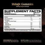 Hot Sale Vegan Shilajit Soft Candies - Chaga Ashwagandha Infused Vitamin Supplement for Immunity