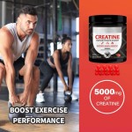 Custom OEM Halal Vegan Sugar-Free Creatine Monohydrate Gummies 5g for Pre-Workout Muscle Growth