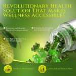 Premium Soursop Graviola Gummies with Zinc & Vitamin C - Immune Booster, Digestive Support & Antioxidant Supplement for Adults
