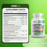 All-in-One Gut Support Capsules - Colostrum, Probiotics, L-Glutamine & Fiber for Digestive Wellness