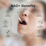 Liposomal NAD+ Drops with Resveratrol - Pharmaceutical-Grade Cellular Rejuvenation & Sirtuin Pathway Activator