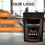 Premium 500g 200Mesh Creatine Monohydrate Powder for Muscle Growth Bulk Wholesale Fitness Supplement
