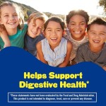 Child-Friendly, Daily Probiotic Vitamin Gummy Candy, Scientific Dose of Digestive Health Dual-Effect Guardian