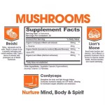 OEM Private Label Nootropic Ashwagandha Gummies Brain Booster Supplement Vegan Nootropic Gummies Improve Intelligence