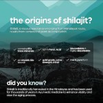 Himalaya Shilajit Resin Extract Capsules Complex 85 Minerals Shilajit Capsules Energy Replenishment Strengthens Endurance
