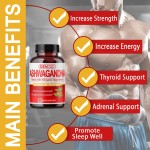 OEM Turmeric Powder & Black Pepper Extract Capsules for Strength, Energy & Adrenal Support