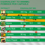 Garcinia Cambogia Capsules with 20:1 Extract - Turmeric, Green Tea & Arjuna for Body Shaping Support