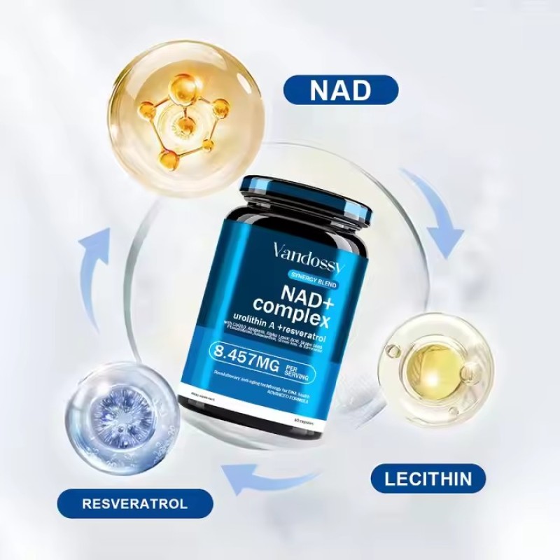 NAD+ Coenzyme Q10 Astaxanthin Nicotinamide Resveratrol Capsules  Quercetin Boost Support for Energy Metabolism