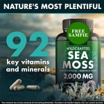 Irish Seaweed Advanced Immune Intestinal Supplement Capsules Antioxidant Burdock Root Bladderwrack Muira Puama for Adults