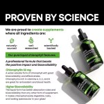 Wholesale Price Chlorophyll Drops Private Label Liquid Chlorophyll Drops Splina Liquid Chlorophyll