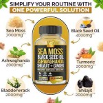 OEM Sea Moss Black Seed Oil Gummies with Elderberry, Turmeric & Bladderwrack for Energy & Detox