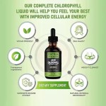 Hot-selling Private Label Customized Extreme 6000mg Organic Vegan Chlorophyll Liquid Drops Splina Bulk Water Syrup Oral Vitamins
