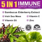 OEM Elderberry Gummies With Vitamin Zinc Boost Immune & Energy Support Supplements Promote Joint and Digestion System Support