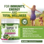 Organic Plant-Based Super Green Juice Powder for Kids and Adults with Stevia Leaf - Nutrient-Rich Superfood Drink Mix
