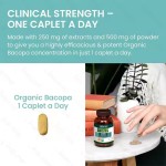Private Label Organic Bacopa Monnieri Caplets Herbal Nootropic Supplement for Adults Customizable Vitamins