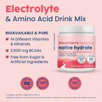No Sugar - Delish Sugar Free Electrolyte Powder Fasting Electrolytes Hydration Powder with Trace Sports Supplies