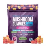 Vegan Lion's Mane Mushroom Gummy Candy Growth Change Visual Health Supplement Brain Development