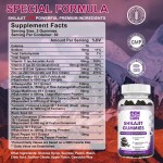 OEM Private Label Pure Himalayan Shilajit Gummies with Fulvic Acid Trace Minerals - Natural & Organic Health Supplement