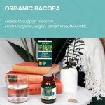 Private Label Organic Bacopa Monnieri Caplets Herbal Nootropic Supplement for Adults Customizable Vitamins