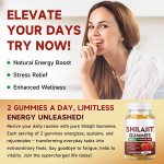 OEM Vegan Private Label Organic Shilajit Gummies with Pure Gold Shilajit and Zinc for Enhanced Vitality