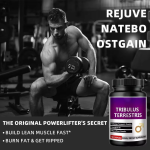 OEM 500mg Tribulus Terrestris and Maca Root Capsules for Adult Men Energy and Vitality Powder Dosage