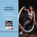 OEM Creatine Monohydrate Supplements - Vegan-Friendly Pre-Workout Gummies with Methyl B-12 & L-Taurine