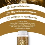 1000 mg NAD + Liposomal Pure and Adult Absorption 60 Capsules Anti-aging and Improve Immunity Improve Metabolic