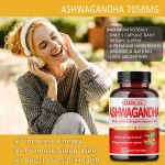 OEM Turmeric Powder & Black Pepper Extract Capsules for Strength, Energy & Adrenal Support