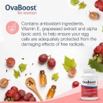 Organic Milk Thistle Extract Drops - With Dandelion & Artichoke, Liver Health Support & Repair Supplement