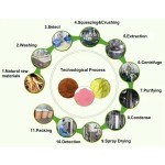 Organic Maca Root Powder Energizing Superfood Black Maca Powder Herbal Supplement Vegan Maca Powder