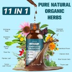 Liposomal Lymphatic Drainage Drops 11 in 1 Organic Lymphatic Drainage Supplement Elderberry Lymphatic Health OEM