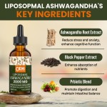 Pure Natural Ashwagandha Extract Drops 2000mg with Black Pepper for Stress Relief and Energy Boost