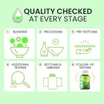 Premium Moringa Leaf Extract Gummies with Green Tea for Energy and Immunity Support 60 Gummies