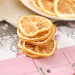 High Quality Wholesale Freeze-Dried Lemon Slices Sweet Preserved Small Bags Dehydrated Lemons for Global Market