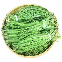 Yunnan Organic Lettuce Whole Greenhouse-Grown Vegetable Dried Gongcai-Ad Process Bulk Packaging