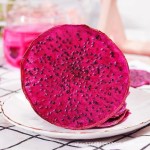 Wholesale Bulk-Packed Red Dragon Fruit Slices Dried Sweet Taste with Water Preservation for Tea & Drinks