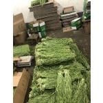 Factory Direct Organic Dry Gongcai Strip Greenhouse Grown Lettuce Whole Mountain Jelly Vegetable Hotpot No Additives Bulk