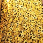 Popular Healthy Chrysanthemum Blossom Tea Factory Wholesales Chinese Flower Tea Food Beverage in Bag Packaging