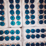 Probiotic Effective  Microorganism Bacteria Em for Ponds, Aquariums 10g Bottle  10 Bottle Per Foam Box Indonesia ,philippine