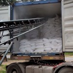 Microorganisms for Urban Garbage Treatment / Biological Enzymes