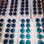 Probiotic Effective  Microorganism Bacteria Em for Ponds, Aquariums 10g Bottle  10 Bottle Per Foam Box Indonesia ,philippine