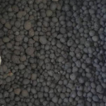 Rhizobacteria  Mycorrhizal Fungi  for Agriculture Plant Garden Corn Maize Wheat Etc