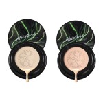 Beauty Cushion Factory - OEM Moisturizing Foundation Air Cushion