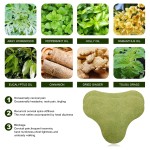 Neck Patch Factory - Moxibustion Plaster Cervical Pain Soothing