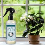 Air Freshener Factory - Home Car Room Perfume Spray Base