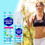 Cooling Spray Manufacturer - Portable Instant Summer Refresh Spray