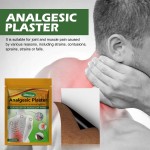 Pain Relief Patch Supplier - Hot Compress Sore Muscles Joint Paste