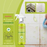 Surface Cleaner Manufacturer - Multipurpose Heavy Oil Stain Remover